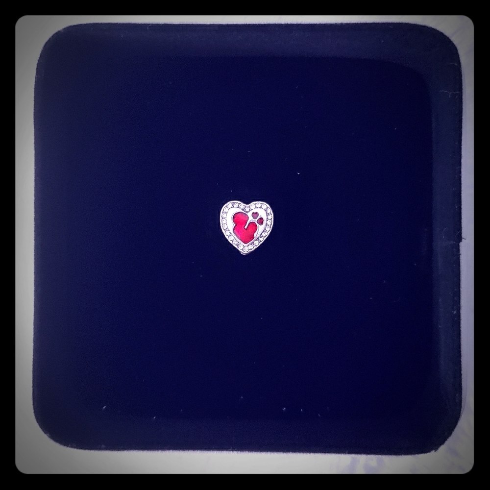Heart charm